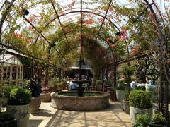 -The Grounds of Alexandria