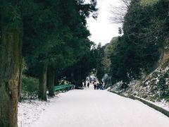 -南岳衡山风景名胜区