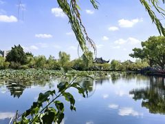 -无锡蠡湖国家湿地公园-蠡园
