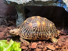 -上海海洋水族馆