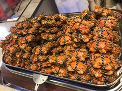 -新发展亚太JW万豪酒店·福苑咖啡厅