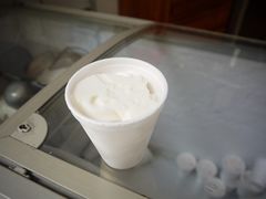 -洪馨椰子