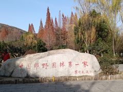 -习家池