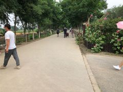 -西青郊野公园