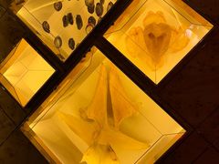 -莉莉海堂HAITANG·烤鸭(国贸商城店)