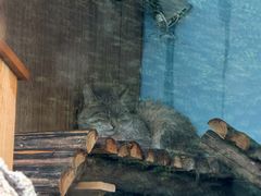 -青藏高原野生动物园