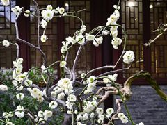 -成都杜甫草堂博物馆