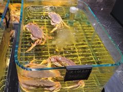-张生记(双菱店)