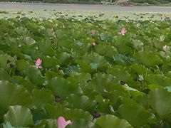 -云龙湖旅游景区