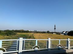 -莲花岛景区
