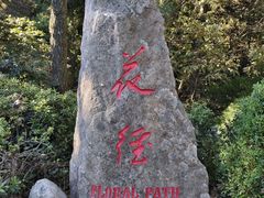 -庐山风景区花径公园