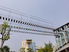 -百万葵园