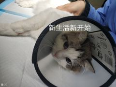 -宠颐生贝利健动物医院(谢家湾分院)
