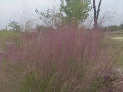 -三圣花乡旅游区