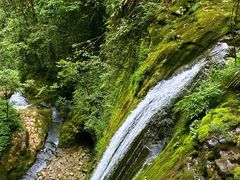 -鹿院坪生态旅游景区