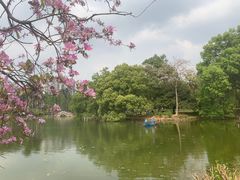 -华南国家植物园-售票处