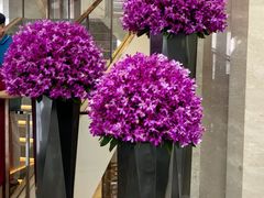 -广州白天鹅宾馆