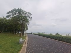 -深圳湾公园(南山区)