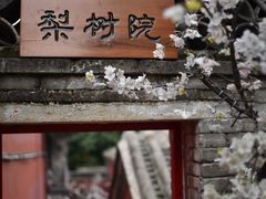 -潭柘寺景区