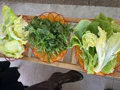 -蘑统田下·野生菌火锅