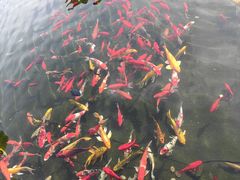 -东台西溪天仙缘景区
