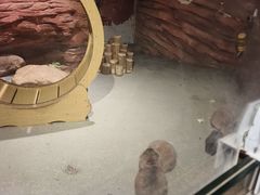 -正佳雨林生态植物园