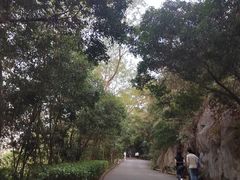 -小南山公园
