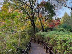 -国家植物园南园