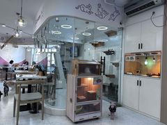 -喵园·猫主题咖啡厅·撸猫·猫咖(国贸店)