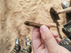 -红树林天天赶海