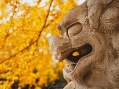 -北京石刻艺术博物馆(五塔寺)