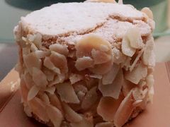 -Madeleine玛德琳(永平里店)