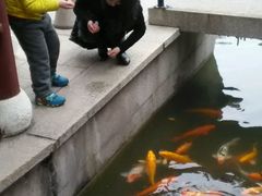 -檀园