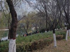 -西安汉城湖景区