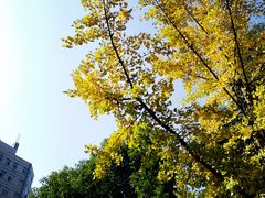 -重庆工商大学(南岸校区)