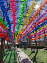 -萌宠亲子动物乐园(槐房万达店)