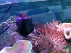 -海南热带海洋学院(三亚校区)