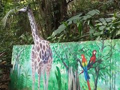 -海南白石岭旅游区