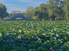 -长春市南湖公园