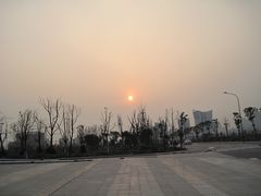 -重庆市江北嘴中央商务区中央公园