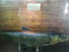 -南京金牛湖风景区