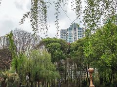 -苏州河梦清园环保主题公园