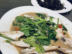 -龙眼南白粥六顺白粥