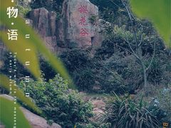 -狐尾山公园