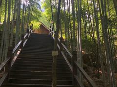 -祁门牯牛降观音堂风景区