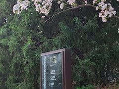 -海棠花溪(元大都城垣遗址公园)