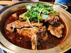-友乐居羊蝎子(西直门店)
