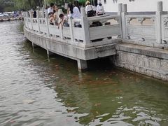 -西宁市人民公园(城西区)