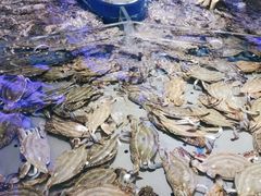 -澜悦港海鲜体验主题餐厅