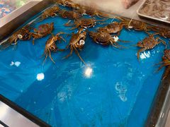 -秋林公司(北大街店)